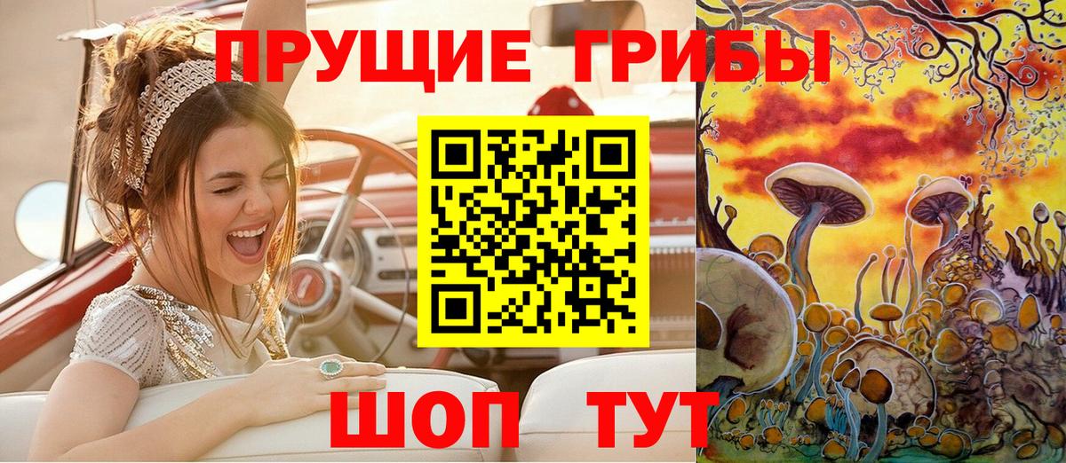 Псилоцибиновые грибы Psilocybe Шуя