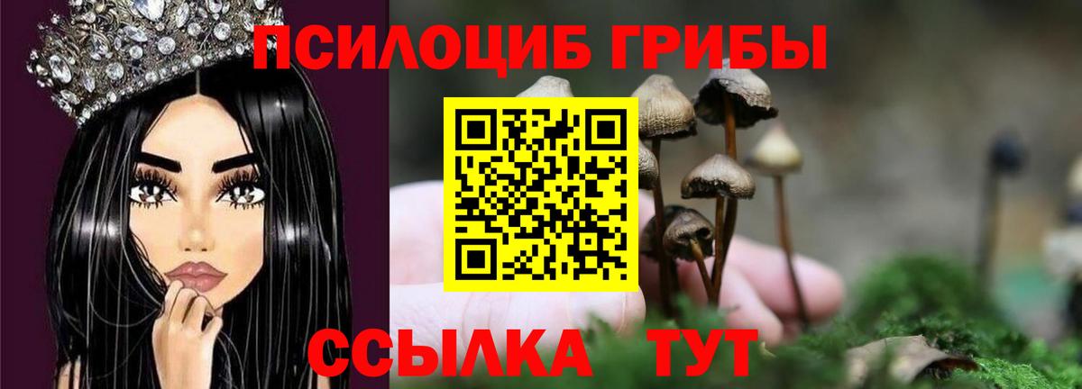 Шуя  Псилоцибиновые грибы прущие грибы  Галлюциногенные грибы GOLDEN TEACHER  Вход с VPN 